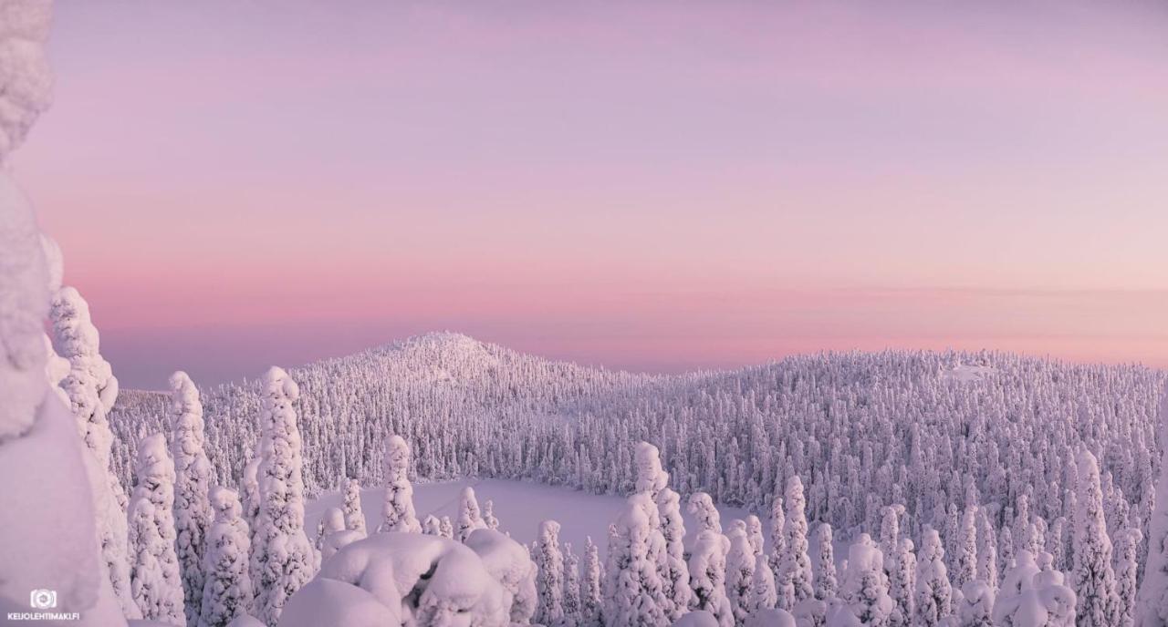 Hotelli Kultainen Joutsen Kuusamo Buitenkant foto